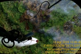 Hotspots decline in Riau, parts of Kalimantan