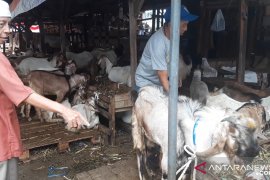 Dinas Pertanian provinsi periksa dugaan antraks di Kabupaten Gorontalo