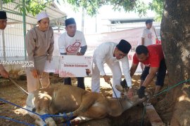 Telkomsel Area Pamasuka sembelih 751 ekor hewan kurban