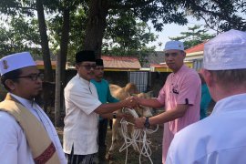 Polda Bangka Belitung potong 25 hewan kurban