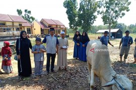 Polres HST berkurban tiga ekor sapi