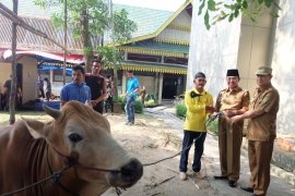 Idul Adha 1440 H, Bupati tunaikam ibadah kurban di lingkungan Setda Inhil