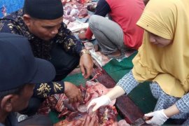 Petugas temukan cacing pada hati sapi kurban di Putussibau