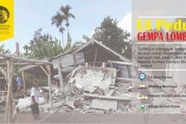 UI: hoax jadi "bencana" baru dalam bencana alam