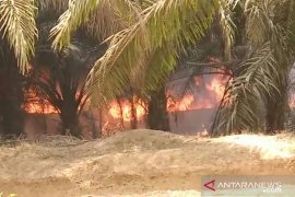 Penambangan minyak ilegal sebabkan kebakaran di Tahura