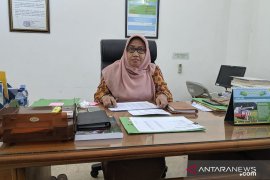 Kementan:  waspadai sebaran hama ulat grayak pada jagung