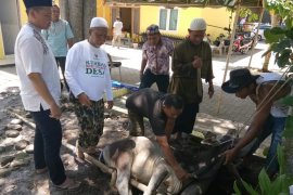 Warga Langkat berkurban 7.060 ekor sapi, kambing dan domba