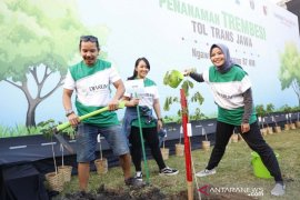 Band Kotak didaulat jadi duta lingkungan