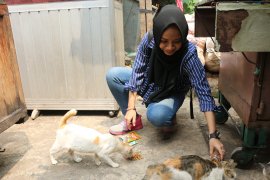 Cahaya bagi kucing jalanan tak bertuan di Ibu Kota