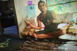 Teras Narang desak Pemprov Kalteng terbitkan  larangan jual Bajakah