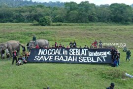 Aktivis bentangkan spanduk tolak tambang di habitat gajah Bengkulu