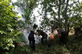 Kebakaran lahan terjadi di beberapa lokasi di Bangka Barat