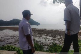 Buaya di Carocok Painan, RKSDA kerahkan enam petugas untuk observasi