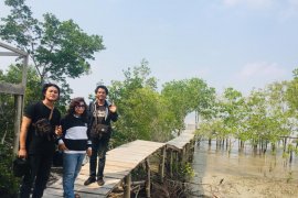 Perjuangan menjaga ekowisata mangrove Sungai Rawa di Siak