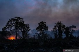 Senin, terdeteksi 358 titik panas merubung Sumatera