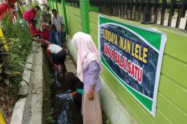Sekolah Dasar di Lubukbasung ini budidaya ikan lele untuk tambahan gaji tenaga honorer