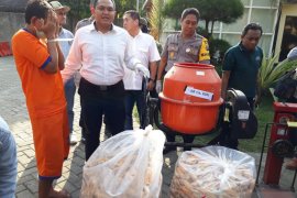 Benih tanaman ilegal rawan terserang penyakit