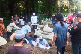 Warga Binjai tewas akibat tertimbun galian C