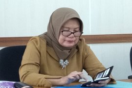 Festival Fesyen Sleman 2019 mengangkat industri kreatif lokal lurik batik