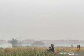 Satgas Karhutla Riau fokus pemadaman kebakaran gambut di Bengkalis, begini penjelasannya