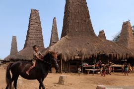 Rumah tradisional Kampung Toda tempat singgah wisatawan di Sumba Barat Daya