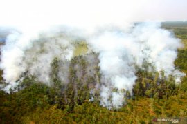 Fire approaches S Kalimantan Provincial Government offices