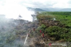 KEBAKARAN LAHAN DI EMPAT KABUPATEN Page 1 Small