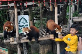 Wisata Istana Panda TSI