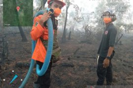 Dua titik panas terdeteksi di Tanah Bumbu
