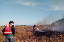 PMI Banjar terjunkan personel bantu padamkan karhutla di Kalsel