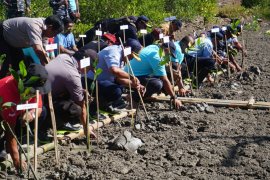 Pelindo III tanam 50.000 bibit mangrove di Pelabuhan Benoa