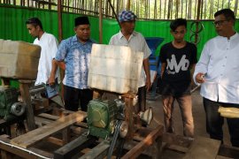 Kayong Utara siap jadi lumbung pakan ternak