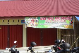 Panitia Agro Expo berharap bantuan Pemkot Payakumbuh