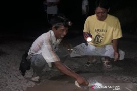 Warga Desa Haliau gotong royong tambal lubang jalan
