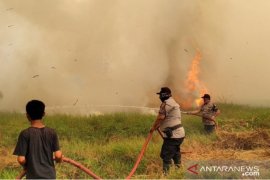 Empat pelaku pembakaran lahan jadi tersangka