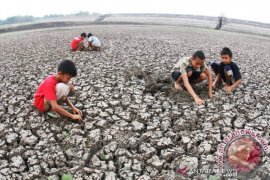 Pemerintah Provinsi NTT siapkan benih bantu petani gagal panen