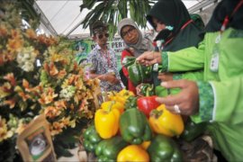 Festival florikultura Indonesia