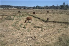 Manggarai Barat terancam kekurangan beras