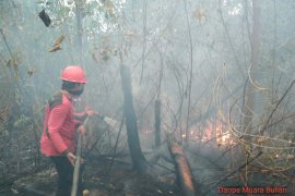 70 hektare kawasan Tahura Sultan Thaha  terbakar
