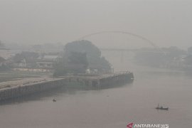 Karhutla Riau - KLHK : Luas karhutla Riau 30 ribu hektare. Beda dengan data BPBD