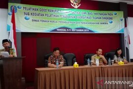 Pemkab Bangka dorong usaha pengolahan singkong