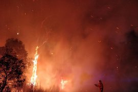 Ratusan warga Australia mengungsi akibat kebakaran 140 titik hutan