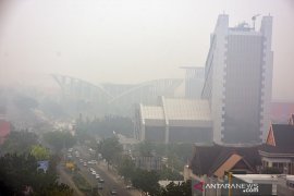 Asap Karhutla selimuti Pekanbaru makin pekat, jarak pandang hanya 800 meter