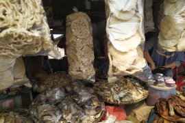 Buah tangan ikan asin air tawar dikembangkan Lampung