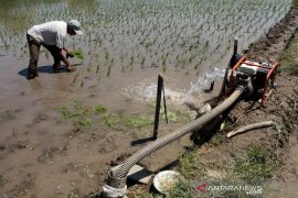 Irigasi sawah dari sumur bor Page 1 Small