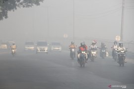 Walhi minta restorasi gambut dievaluasi menyusul karhutla masih terus berlanjut