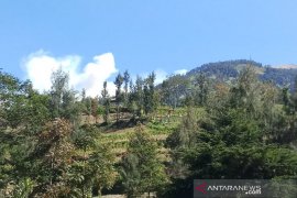 Jalur pendakian Merbabu  ditutup akibat kebakaran