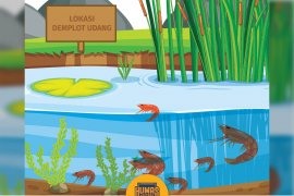 DKP Bangun Demplot Budidaya Udang Ramah Lingkungan