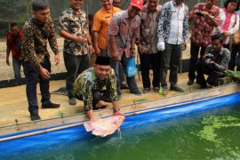 Plt. Bupati Labuhanbatu dukung petani terus berinovasi