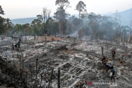 Perkampungan Warga Baduy Dilalap Api